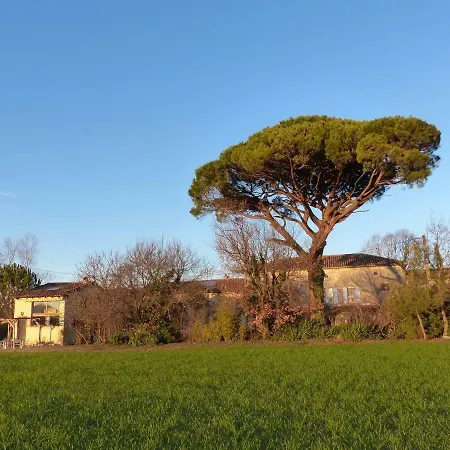 Le Des Oliviers * Roumens